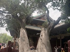 -晋祠公园