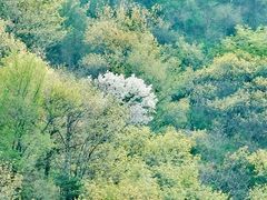 -北京鹫峰国家森林公园