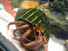 -太平洋海底世界