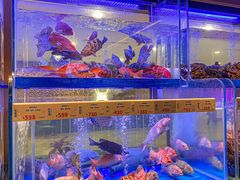 -南海渔村(珠江新城店)