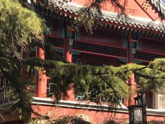 -宣武艺园