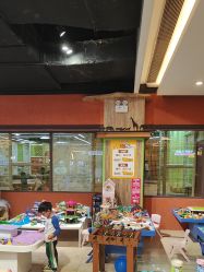 -卡通尼·Safari非洲探索乐园·生日会(金桥国际商业广场店)