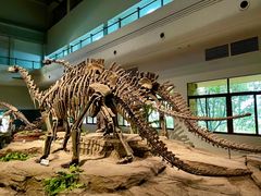 -自贡恐龙博物馆