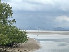 -深圳湾公园(南山区)
