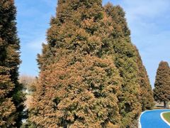 -宜兴龙背山森林公园