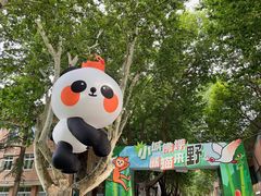 -西安电影制片厂