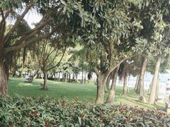 -深圳湾公园(南山区)