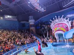 -烟台海昌鲸鲨海洋公园