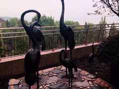 空中花园-杭州君悦酒店