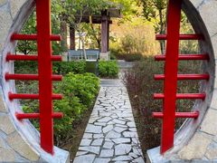 -广州市流溪河国家森林公园