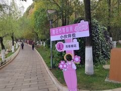 -洛龙公园