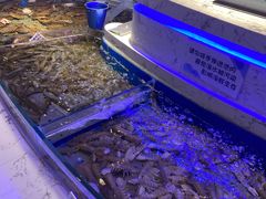 -澜悦港海鲜体验主题餐厅