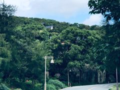 -普陀山风景区-佛顶山