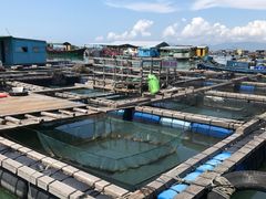 -海上驿站渔家菜馆