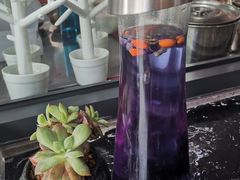 -鲜塘宴·千岛湖大鲫鱼(南湖店)