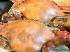 -大锅强·蒸海鲜青岛菜(吾悦广场店)