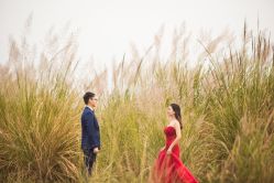 -巴黎婚纱摄影工作室