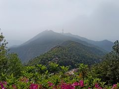 -梧桐山风景名胜区