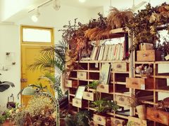 -知物癖(牛王庙店)