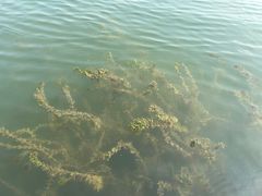 -暨阳湖生态园