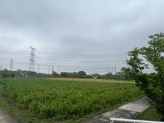 -上海杨姆庄园