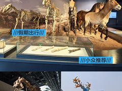 -武汉园博园(武汉自然博物馆)