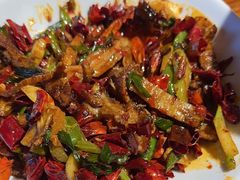 -柴窝堡22号辣子鸡·传承新疆菜