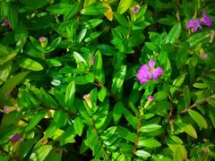 -中国农科院国家农业科技展示园