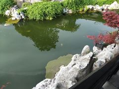 -口岸雕花楼