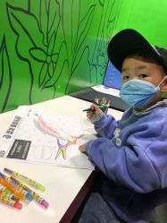 -恐龙探索乐园(磁器口店)