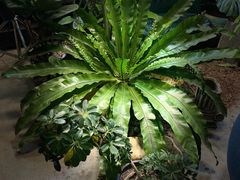 -萨拉伯尔水源素问店·韩国宫廷料理(人民路店)