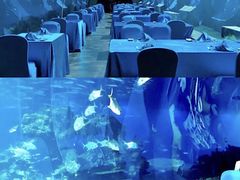 -海棠湾洲际-涛·海底餐厅·美人鱼·自助餐·海底隧道