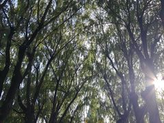 -哈尔滨文化公园