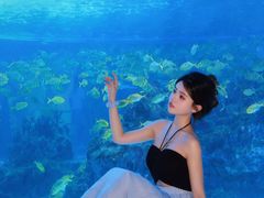 -海合安成都极地海洋公园
