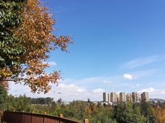 -洛龙公园
