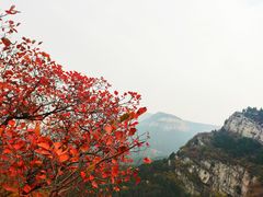 -龙洞风景区-藏龙涧