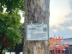 -荔湾湖公园