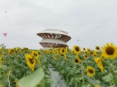 -光明小镇欢乐田园