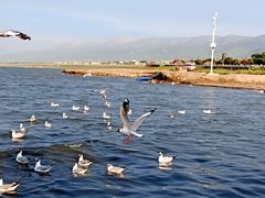-青海湖国家重点风景名胜区