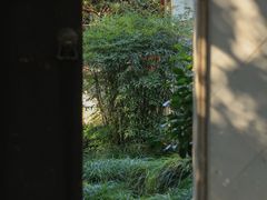 -秋霞圃