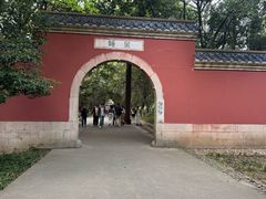 -灵谷景区