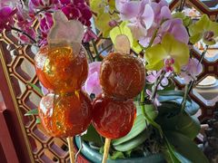 -羲和雅苑•北京烤鸭(平安国际金融中心店)