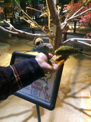 -酷嗒动物文化乐园(cutezoo西溪乐天城店)