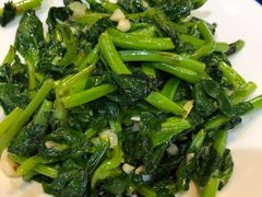 -食家鸽园