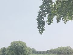 -北京京辉高尔夫俱乐部有限公司