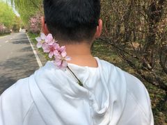 -同里国家湿地公园
