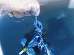 -璞真扎染博物馆