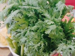 -芦月轩羊蝎子(北蜂窝店)