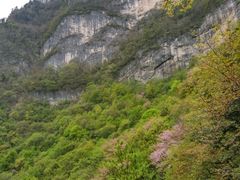 -秦岭天竺山景区