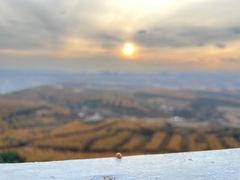 -帽儿山国家森林公园